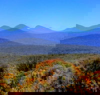 Arcadia Wines - Accommodation Resorts