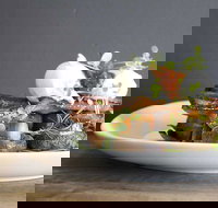 Daark Espresso Bar - Accommodation Resorts