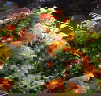 Talk to Me - Accommodation Resorts