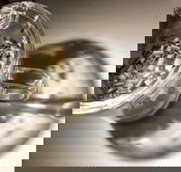 T Totaler - Newtown - Accommodation Resorts