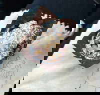 8th Nerve Cafe - Accommodation Resorts