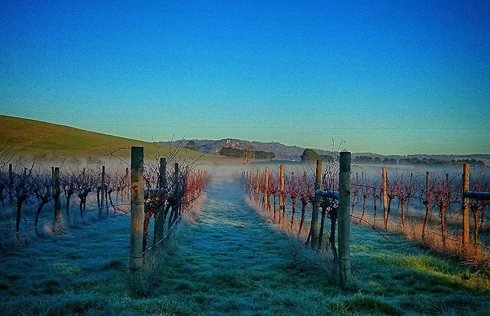 Allendale VIC Accommodation Resorts