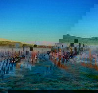 Eastern Peake Winery - Accommodation Resorts