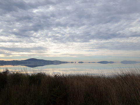 Great Southern Distilling Company - Accommodation Resorts 1