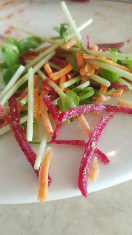 Accommodation Resorts