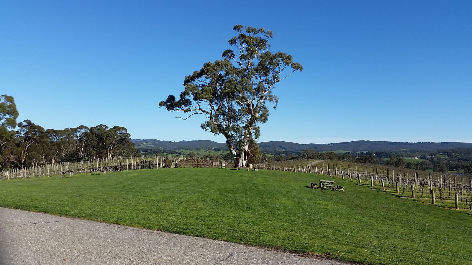  Accommodation Resorts