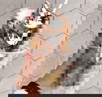 Eggette Waffle Bar - Accommodation Resorts