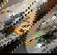 Indian Curry Place - Accommodation Resorts