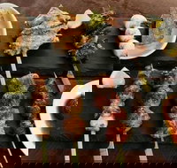 Mr Roboto's - Accommodation Resorts