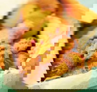 Mrs. Fields - Highpoint - Maribyrnong - Accommodation Resorts