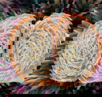 La Bouche - Accommodation Resorts