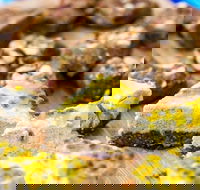 Charlie's Raw Squeeze - Greenslopes - Accommodation Resorts