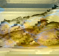 Chop Chop - Accommodation Resorts