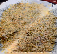 Man-O-Salwa - Clayton - Accommodation Resorts