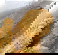 Captain Roxburg Fish  Chips - Accommodation Resorts