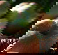 Denmark Heritage Cider Company - Accommodation Resorts