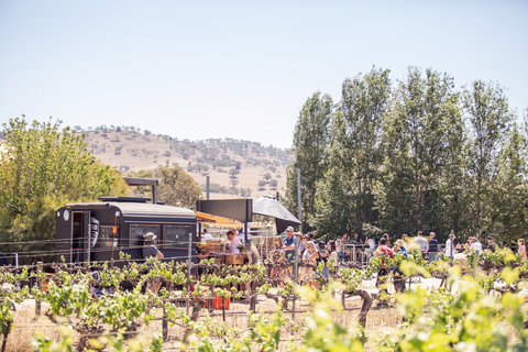 Thistle Hill Wines - Accommodation Resorts 0