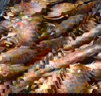 Pacific Eats - Accommodation Resorts