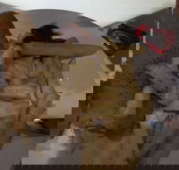 Roast  Toast - Accommodation Resorts