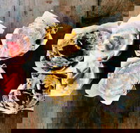 Blackbird Espresso - Accommodation Resorts