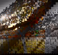 Pyramids Road Wines - Accommodation Resorts