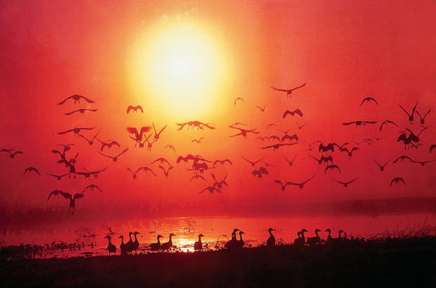 Barra Cafe On Riverview - Accommodation Resorts 0