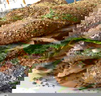 Bean Out - Accommodation Resorts