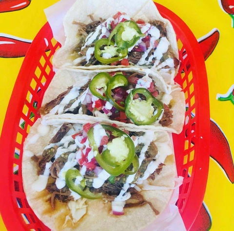 Muchacha - Narrabeen - Accommodation Resorts 0