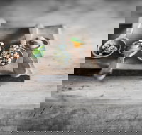 The Currant Shed - Accommodation Resorts