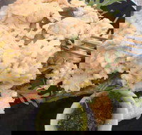 Toasta - Accommodation Resorts