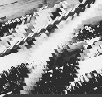 The Cordial Bar - Accommodation Resorts