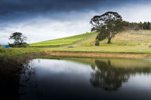 Mount Majura Vineyard - Accommodation Resorts 1