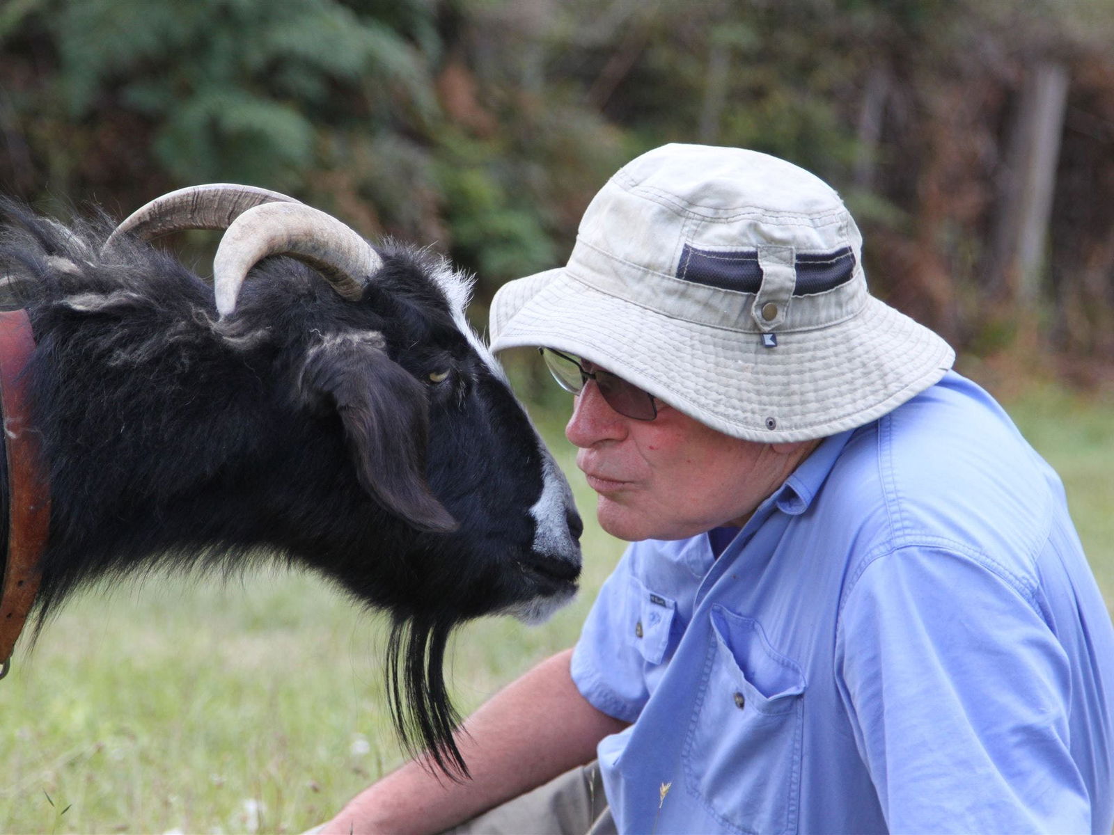  Accommodation Resorts