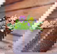 The York Mill - Accommodation Resorts