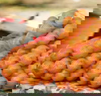 Mathoura Mandarins - Accommodation Resorts