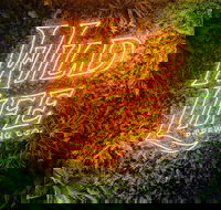 Wild Life Brewing Co. - Accommodation Resorts