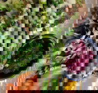 Stone cold - Accommodation Resorts