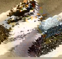 Frollicking Frog - Accommodation Resorts