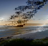 Mal Starkey's Seafood House - Accommodation Resorts