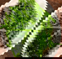 The Vietnamese Hut - Accommodation Resorts