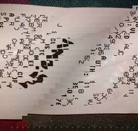 Bubba Pizza - Mount Barker - Accommodation Resorts