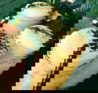 Chillers Cafe - Accommodation Resorts