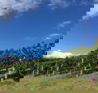 Freycinet Vineyard - Accommodation Resorts