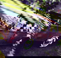 Feral Brewing Company - Accommodation Resorts