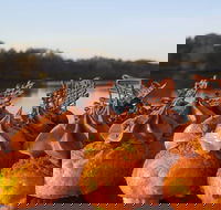 Wharf Street Cafe - Accommodation Resorts