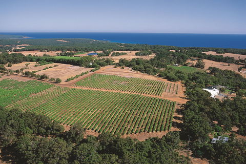 Wise Wine - Accommodation Resorts 0