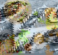 Zambrero Griffith - Accommodation Resorts