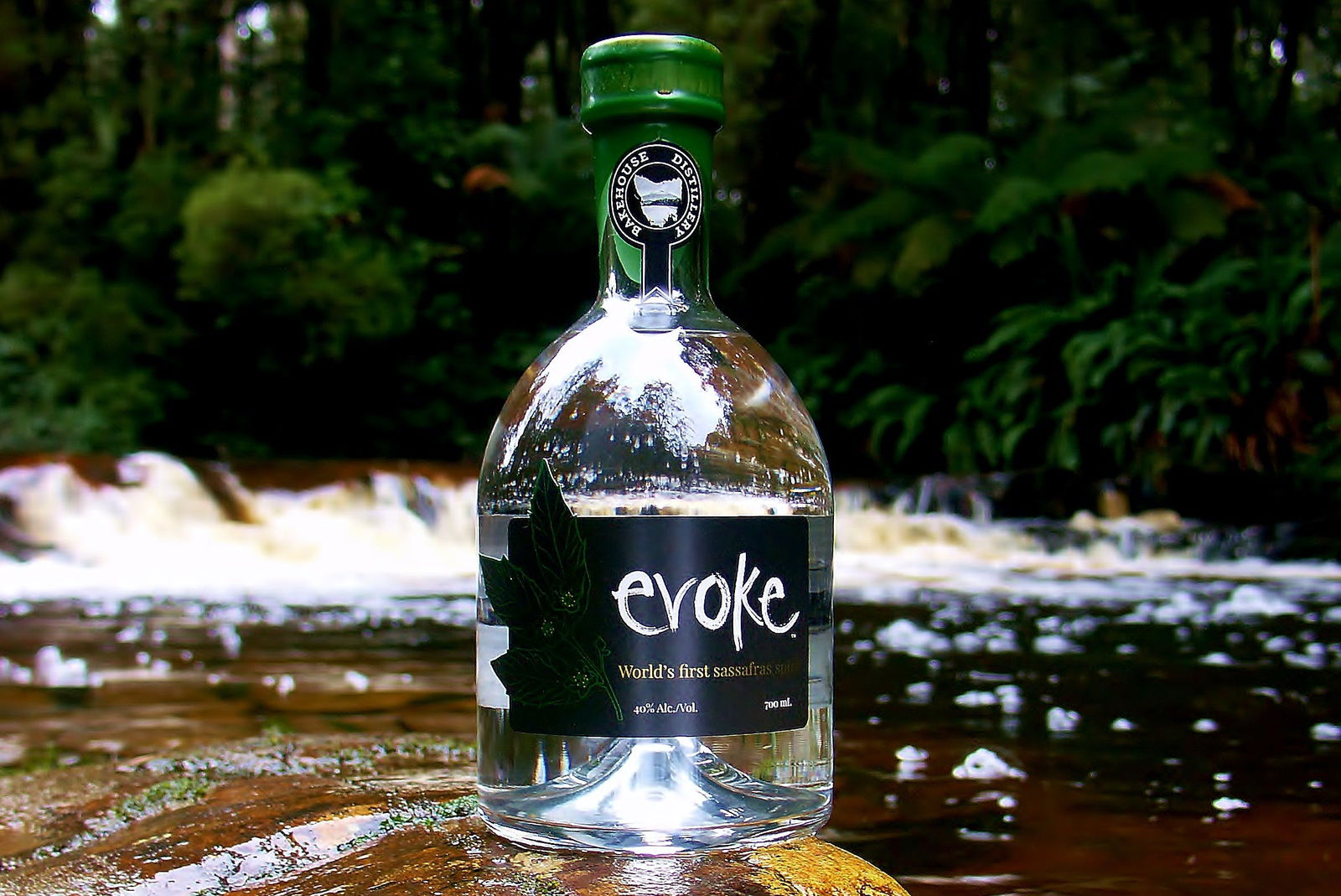 Accommodation Resorts