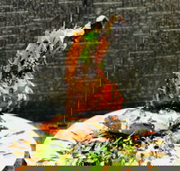 Cafe Bear and Scoobs - Accommodation Resorts