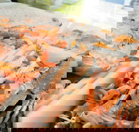 Rufus King Seafoods Amity Point - Accommodation Resorts